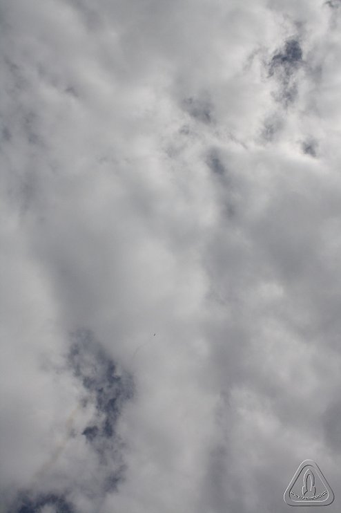 2013 Svojek Mirek Topinka